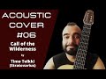Stratovarius - Call of the Wilderness || Cover video | Acoustic video | Acoustic cover