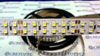 видео Светодиодная лента белого свечения SMD 3528 LED 240 24V