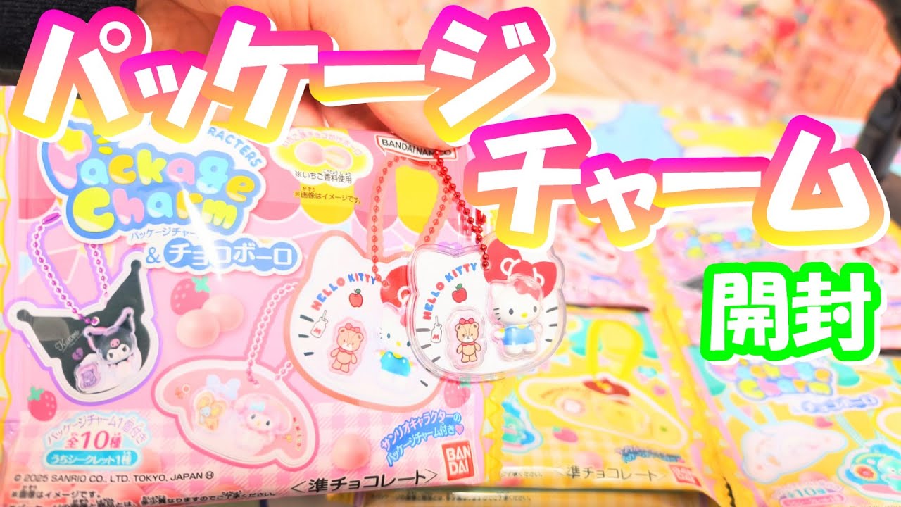 【年末争奪戦】パッケージチャーム＆チョコボーロ サンリオキャラクターズ  開封
