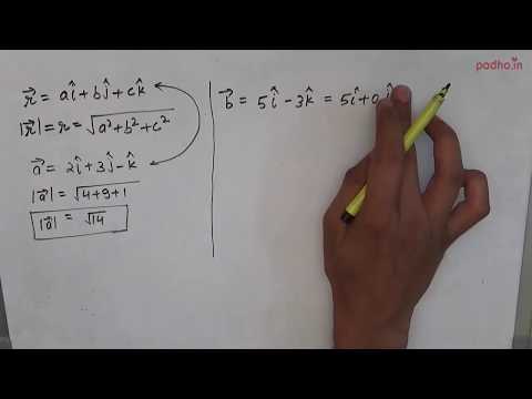 Hoe vindt u de grootte van een vector (Hindi) | Class 12e Maths