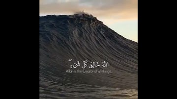 تلاوة رائعة من سورة الزمر 💎 القارئ عمر الدريويز | حالات واتساب القرآن الكريم 🌹 ما شاء الله