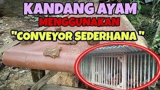 VIRAL ,,‼️KANDANG AYAM MODERN PAKAI MESIN CONVEYOR SEDERHANA