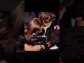 subscribe#love #song #shorts #couple #aestheic #relatable #trending#relatableviralshort#hug