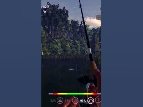 unique fish are like buses, fishing planet amazon maze - YouTube