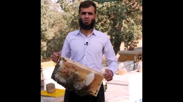 مقطع من سورة النحل[يخرج من بطونها شراب مختلف ألوانه فيه شفاء للناس ...] القارئ رزكار محمد الكردي
