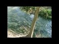 San Antonio River Begininng / The Blue Hole