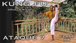 Grulla Roja técnica y ataque 7 / Clase 98 Kung Fu Wushu