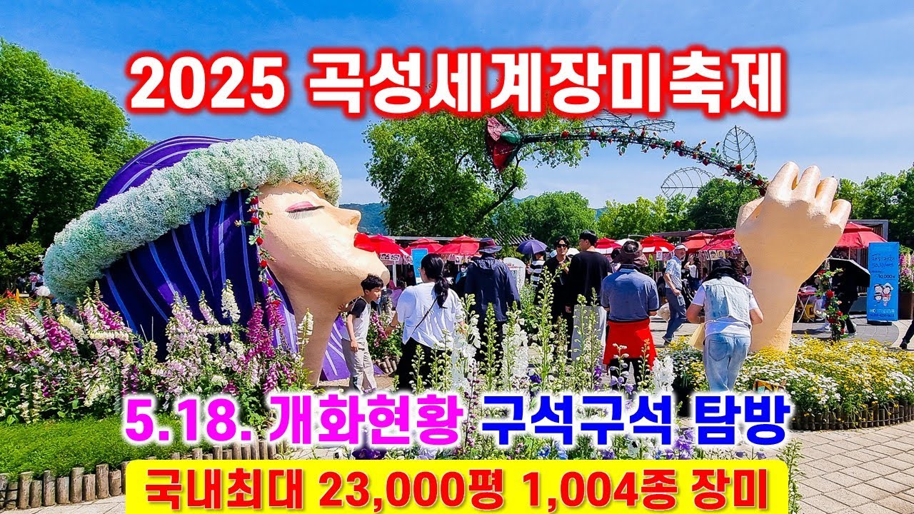 곡성 세계장미축제