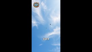 The Mysteries of Cirrus Clouds