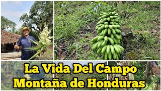 Hermosa La Vida del Campo en Una Montaña de Honduras, Santa Rosa de Copán 2023