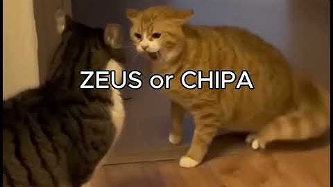 M24 1 vs 1 Challenge in WOW Map