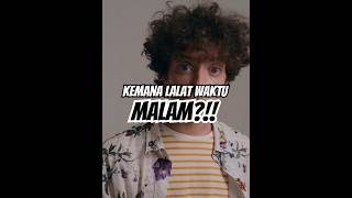 INI ALASAN KENAPA MALAM TIDAK ADA LALAT‼️🤓 #faktatan #faktaunik #faktamenarik #faktadunia #lalat