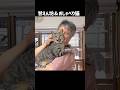 甘えん坊&おしゃべり猫 #保護猫 #猫のいる暮らし