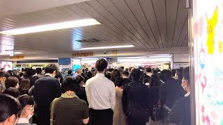 【乗務員トラブル】メトロ丸ノ内線運転見合わせ、池袋駅の様子  2022.5.12