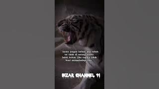 kamu jangan keluar jika tubuh ini tidak di serang.!