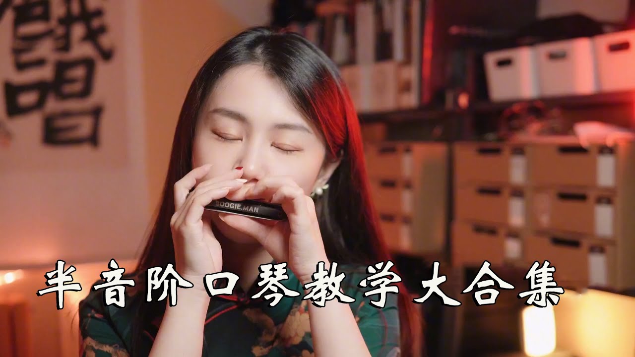 园园教学大合集二 | 易学的半音阶口琴 【吹口琴的小园园】