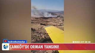 Çamköyde Orman Yangini