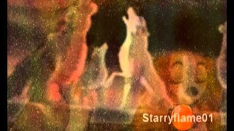 Animash - Blame it on The Pop