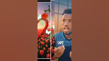 Sirba Ibroo Ibsaa Arse Arsoomni Qoorsaa Arse Sanduuqa Obsaa Comedynews Aajsajeya 