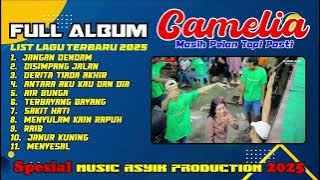 FULL ALBUM CAMELIA PELAN TAPI PASTI MUANTUL POLL VOL 6
