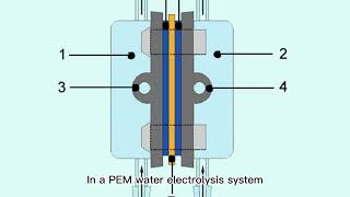 Porous Transport Layers for Electrolysis