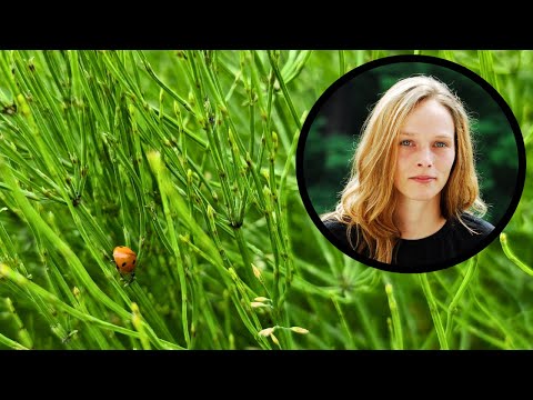 Video: Die Bedeutung des Schachtelhalms im menschlichen Leben, seine Rolle in der Natur