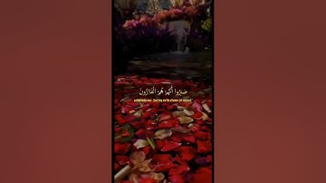 #عبدالباسط_عبدالصمد #تلاوة #آيات #القرآن_الكريم #تلاوات #قرآن #quran #قران_كريم #القرآن#تلاوة_خاشعة