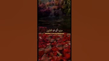 #عبدالباسط_عبدالصمد #تلاوة #آيات #القرآن_الكريم #تلاوات #قرآن #quran #قران_كريم #القرآن#تلاوة_خاشعة