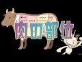【生放送】ニャースが肉の部位を説明する