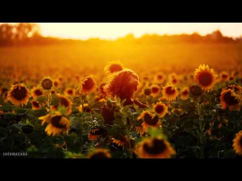 Giga Papaskiri - L'amour (Original Mix)