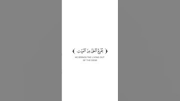 كروما شاشة بيضاء قرآن كريم 🌿تلاوة من سورة الروم 🌿القارئ عبدالله الخلف 🌿