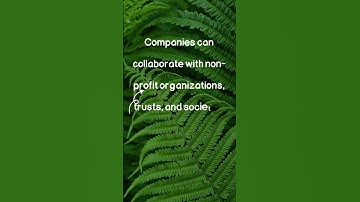 Companies can collaborate with NGOs to implement the CSR Projects