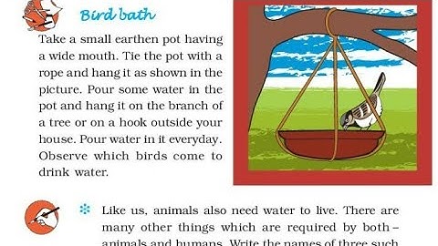 Animals our friends EVS CLASS 3 Chapter 19 , Part 2