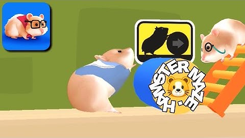 Hamster Maze - Gameplay walkthrough All levels 1 - 10 (iOS,Android) part 1