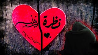 ستوريات حسينية/حالات واتساب حسينية/نظرة♥️/الملا محمد الخياط