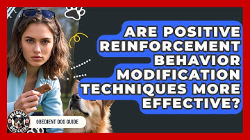 Are Positive Reinforcement Behavior Modification Techniques More Effective? | Obedient Dog Guide