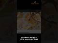 HTML 다운로드 되는 노코드 랜딩페이지 제작, 템플릿하우스 살펴보기
