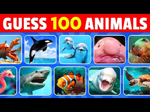 Guess 100 Sea Animals in 3 Seconds 🐬🦑 | Easy, Medium, Hard, Impossible