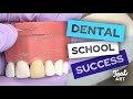 How to SUCCEED in your FIRST Year of Dental School (Top 5 Tips)