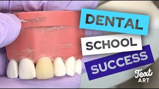 How to SUCCEED in your FIRST Year of Dental School (Top 5 Tips)