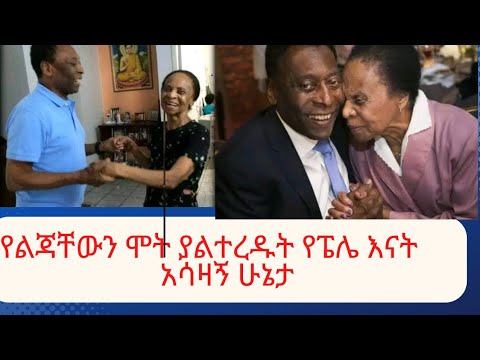 ቪዲዮ: በዓመቱ መጨረሻ ላይ የባለቤቶቹ ሥዕሎች ተላልፈዋል?