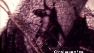 Parto De Morcega Desmodus Rotundus Delivery Of A Bat Female