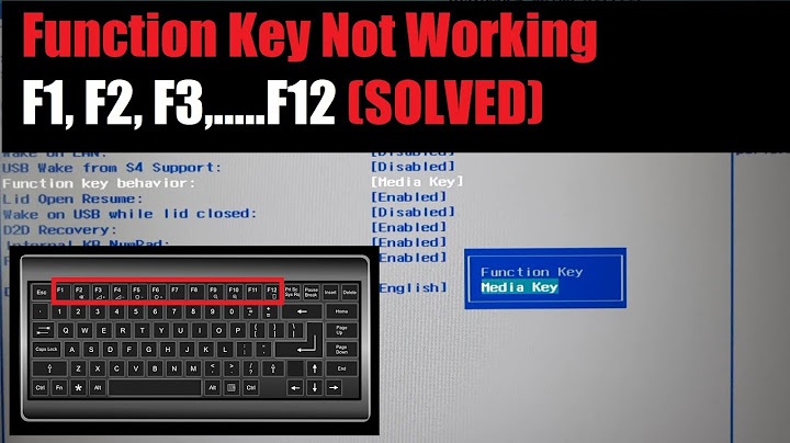 Kenapa tombol f1 f2 f3 laptop tidak berfungsi