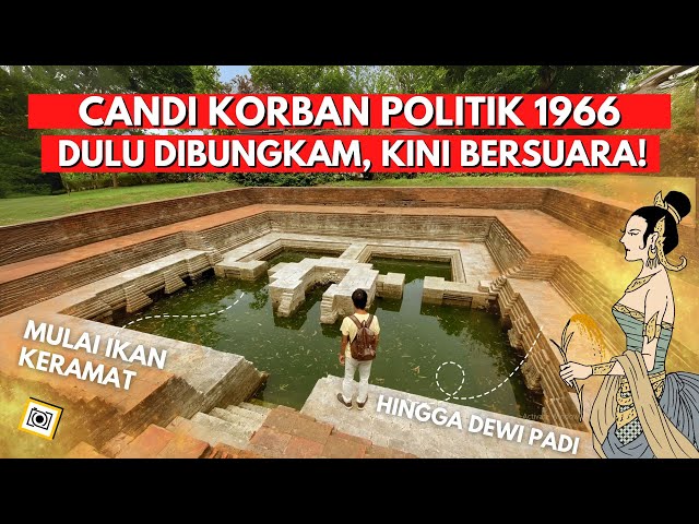 Petirtaan Dewi Sri: Jejak Kejam Politik 1966, Ikan Keramat & Dewi Padi class=