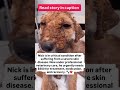 Urgent Medical Support Needed for Nick 💔Nick arrived at our shelter #usa #canada #london #fyp #uk