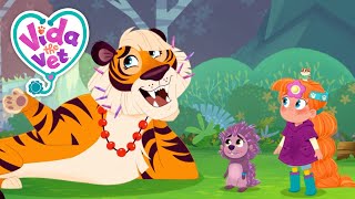 Koa’s Prickly Friend The Porcupine + More Vida the Vet ⛑ Cartoons for Kids | Animal Healing Fun