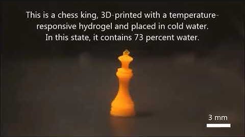 Micro 3D Printing of a Temperature-Responsive Hydrogel Using Projection Micro-Stereolithography