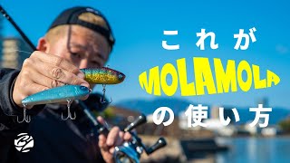 shinya モラモラ 2色セット MOLAMOLA オリカラ ブンブン オーバスライブ モラモラ MOLAMOLA 新品 クロギン