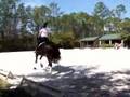 BaileyFeb-09-08