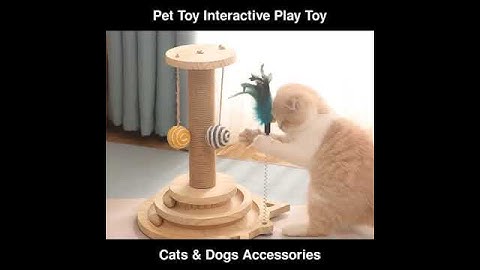 Pet Toy Interactive Cat Toy Scratching Post Two Layer Turntable Balls | Cats & Dogs Accessories